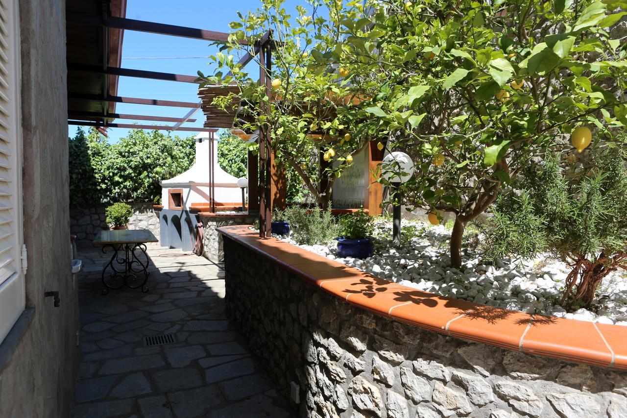 B&B Villa La Cicas Анакапрі Екстер'єр фото